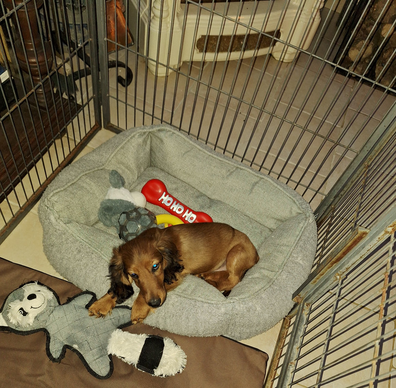 [Image: 20240929-210654.jpg]