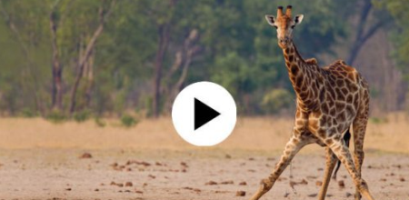 CreativeLive – Warp, Blend, Liquify in Adobe Photoshop 2020