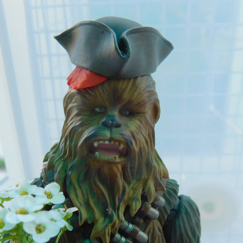 Дачно-Харлинский июнь-июль 2024 480