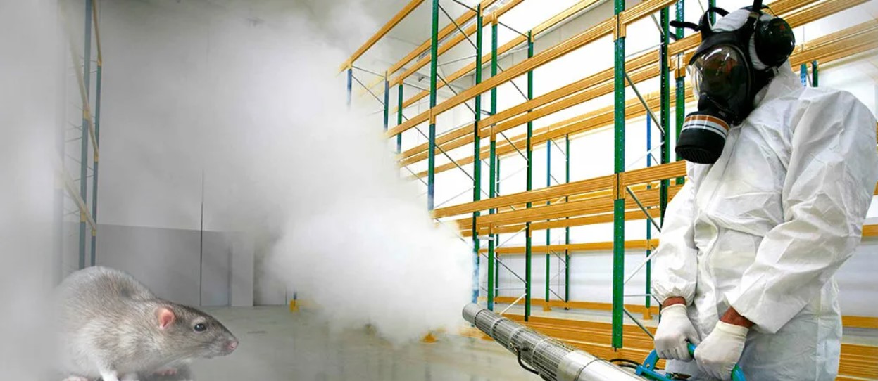 дезинфекция от грызунов