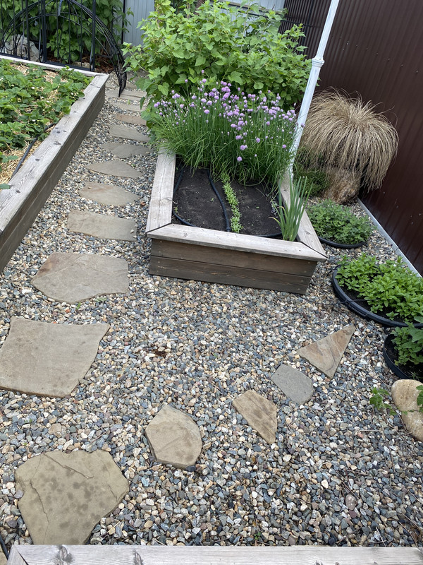 6D0025BF-B317-4368-B1D1-6A15B92B1EFF