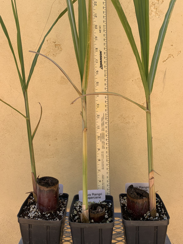 BEE5A5D8-05E7-402B-BF8D-02343B387D74