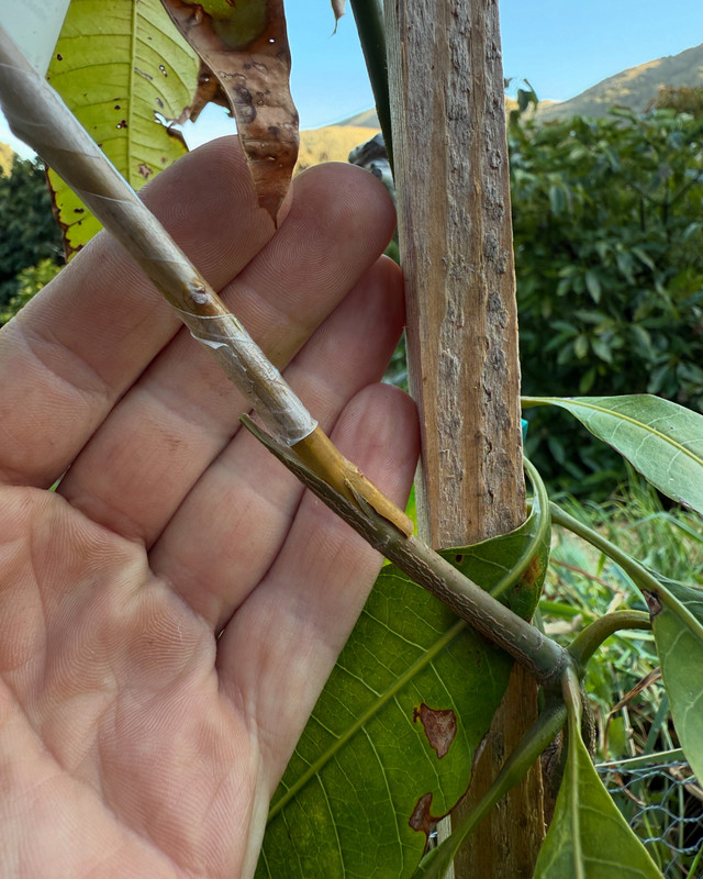 6E195B43-27ED-4886-A973-D174309E2361