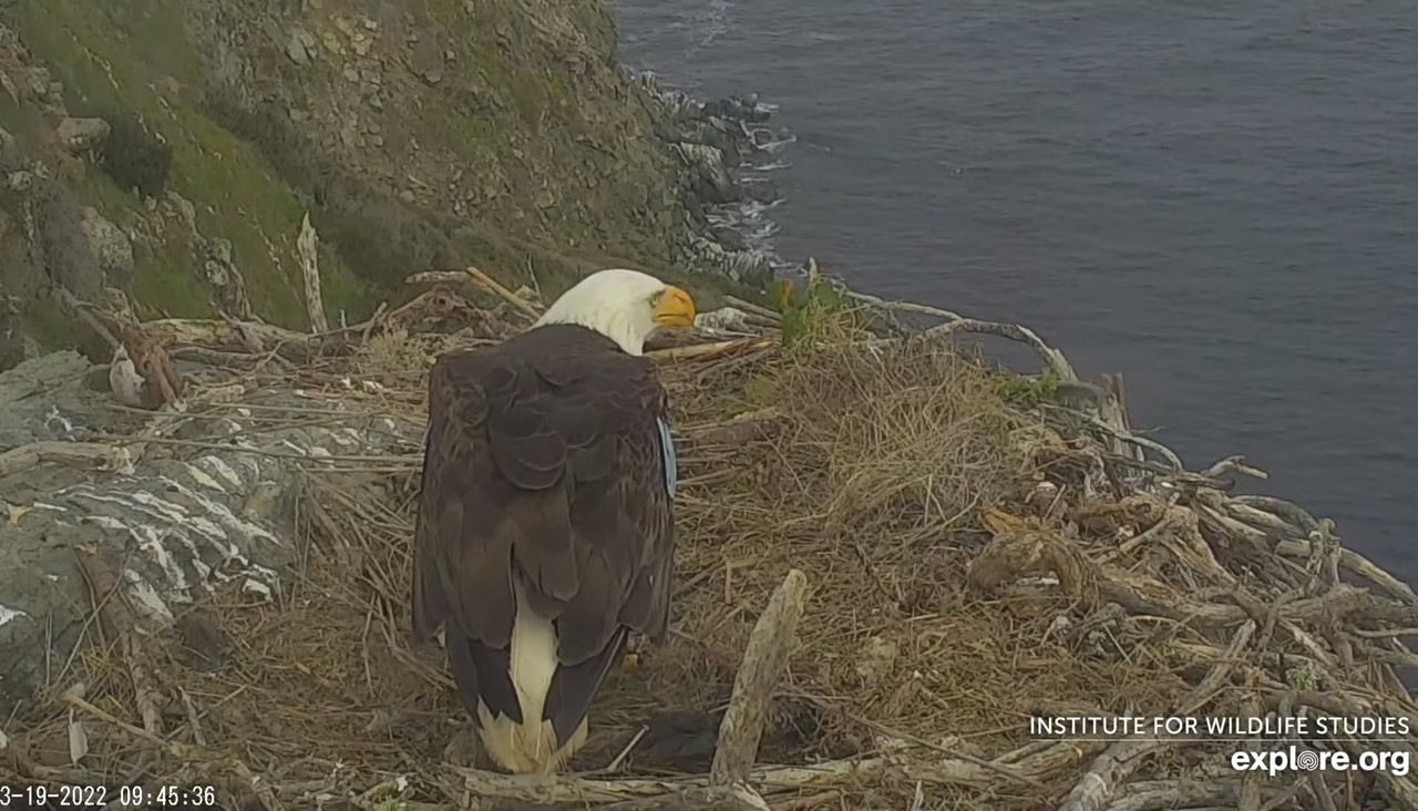 DAC5BD13-BD1D-48D6-976C-CBDD47619386