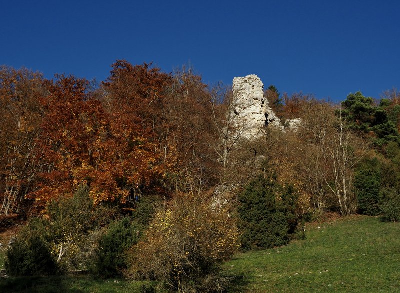 PB130159.jpg