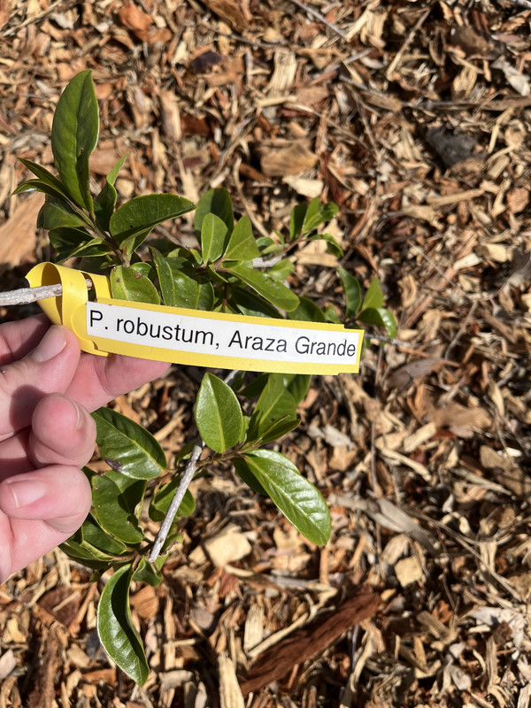 6E926D01-7B94-4208-A0AF-4583D884FA28