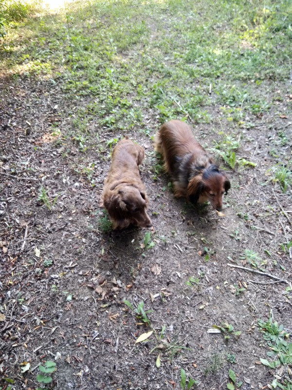 [Image: IMG-20220810-153944.jpg]