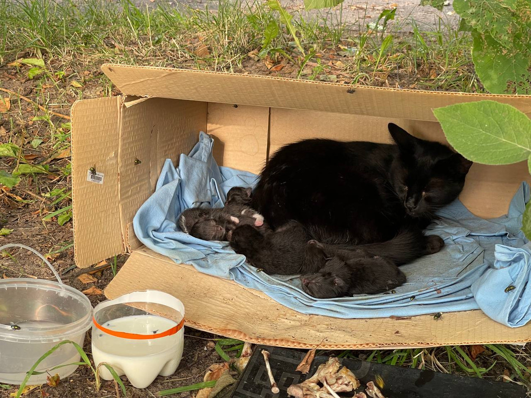 2216A244-2247-4A11-A909-DF0D530DF936