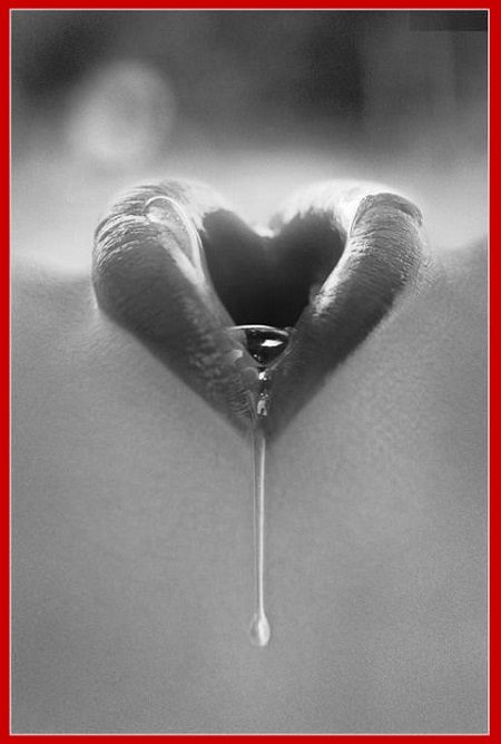 20349a28ba0f041ff914cb4622d16231