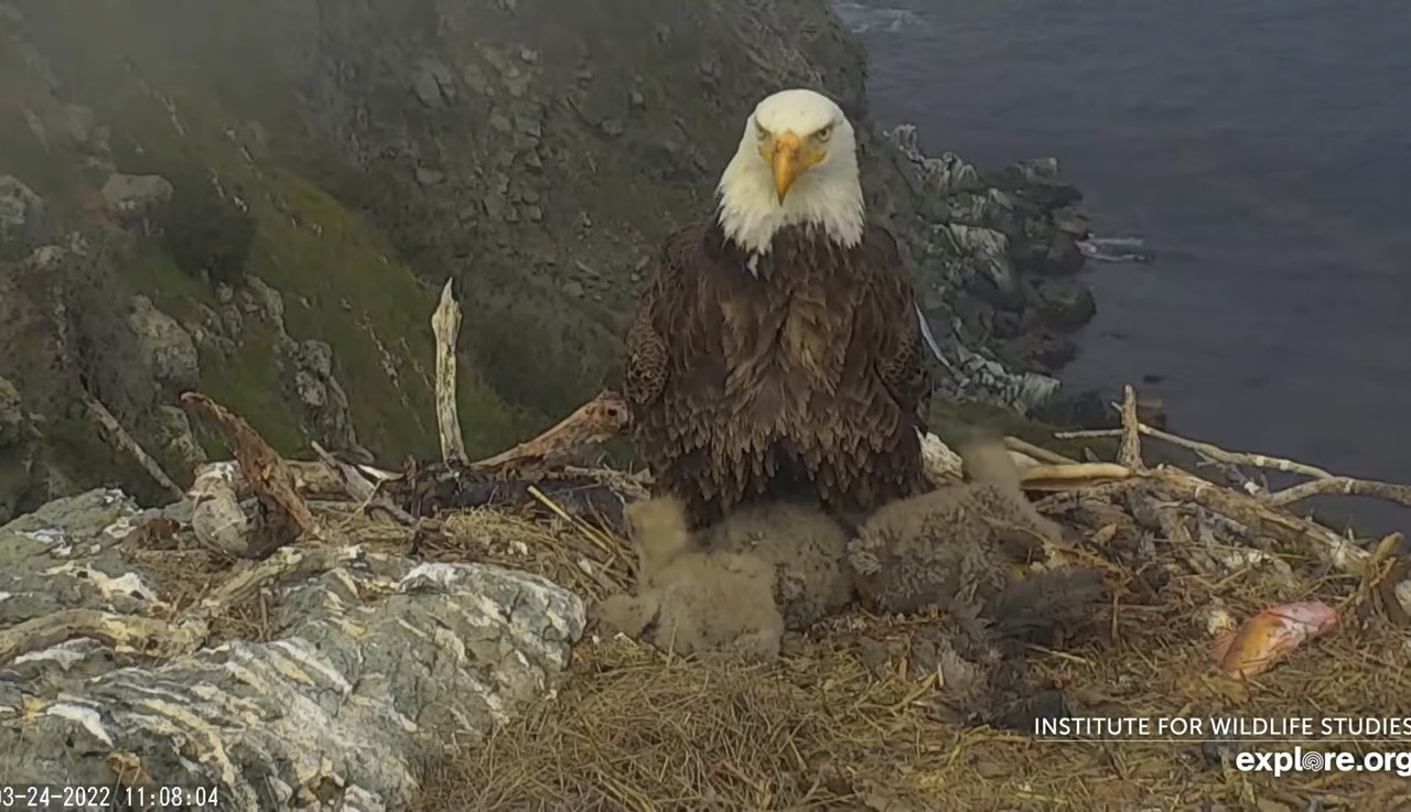 1DDBF035-3BB2-4F38-A912-4363B226A79A