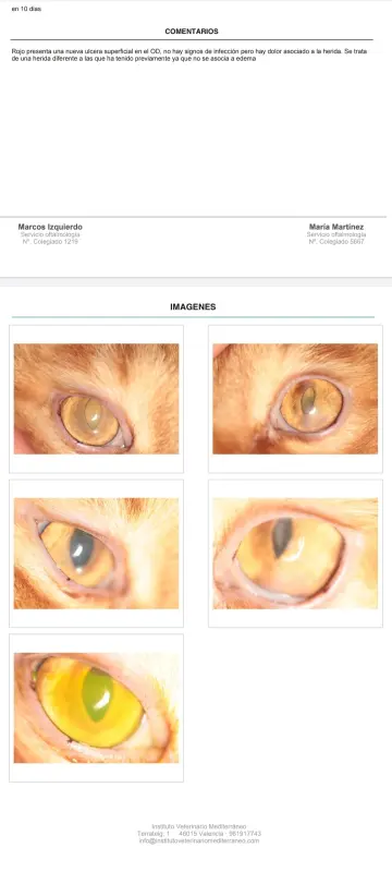 syx-mEnGvFUun1yrU5By1o-H3gwh2SH8NuePuWa63J8y3SGXfvv4EQSJSAOjKQrfMP71dv-lc5wQLqtyEuzHZa6g