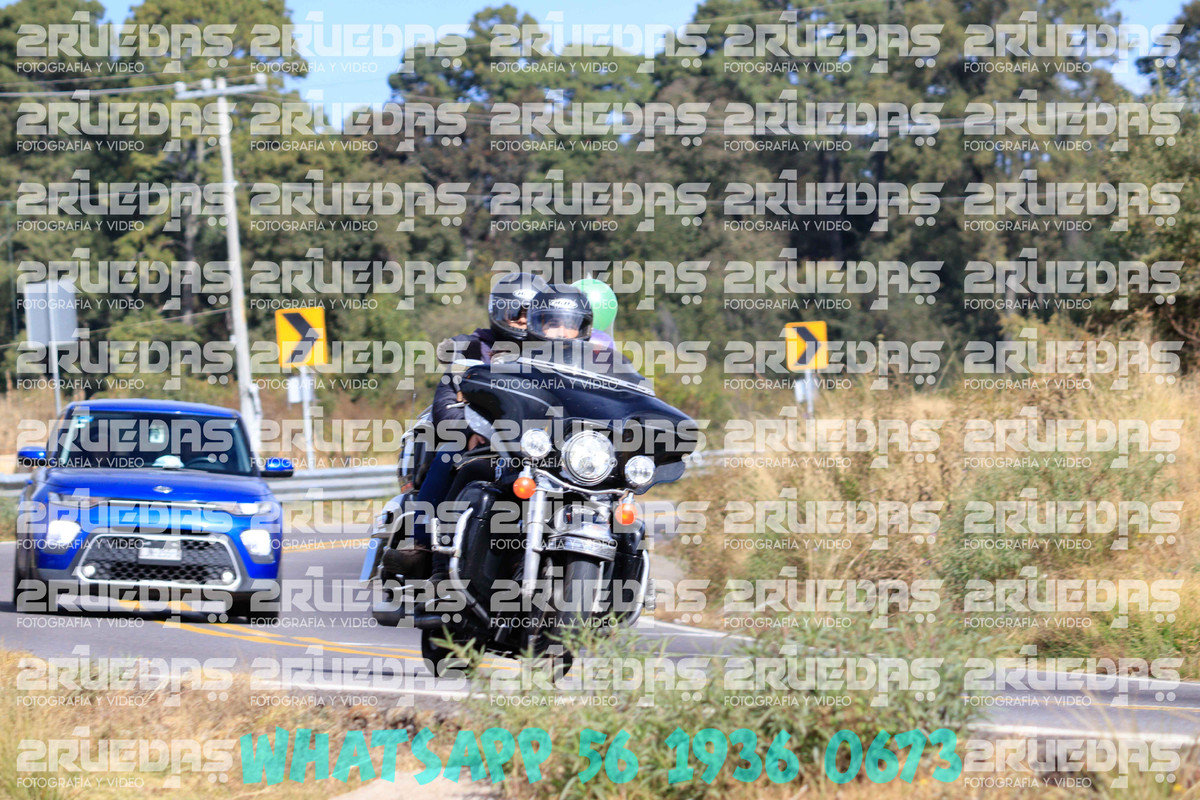 MG 0520 — Postimages