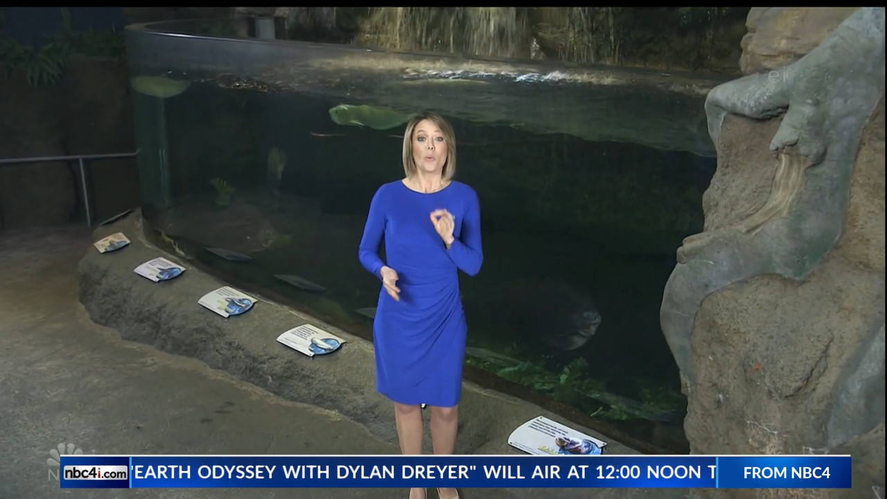 11.07 - 15.00.00 - Earth Odyssey With Dylan Dreyer. The world's smart....ts_snapshot_00.25.04.232