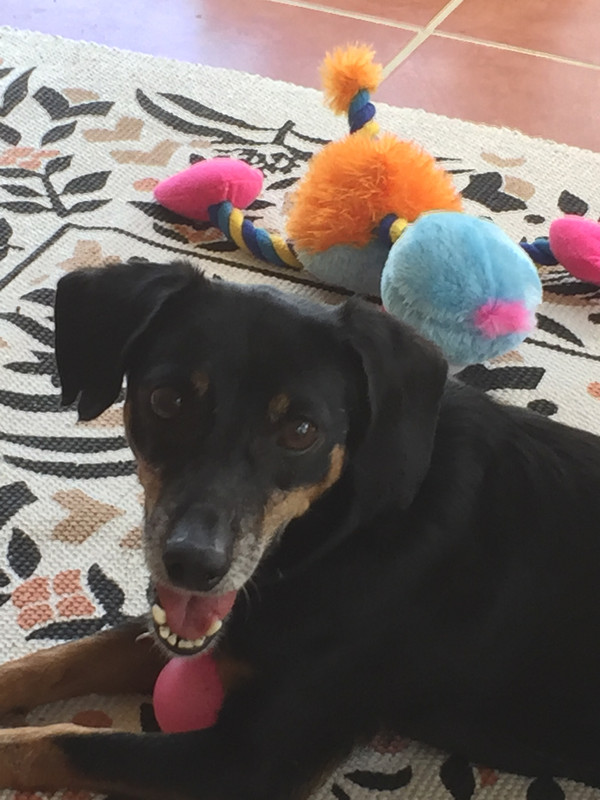 FDFEE2FF-B52C-40D7-AAFC-5F4CFE9DB4A5