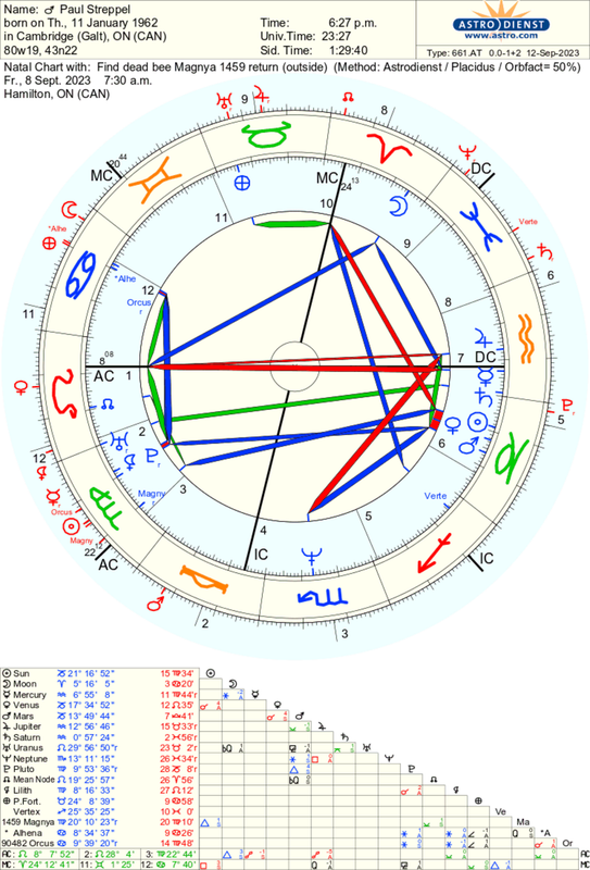astro_661at_paul_streppel_find_dead_bee_magnya_1459_return.61178.222796