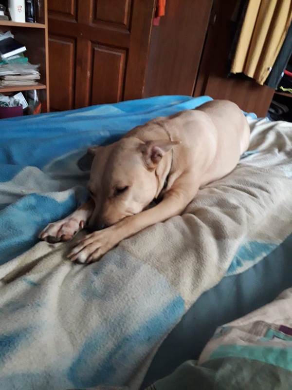 4446AC5C-DD53-4BB2-95FC-C17B5D9AF8DA