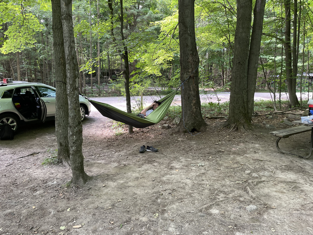 1BB1339D-8D6D-4D54-935A-E4FB5639D638