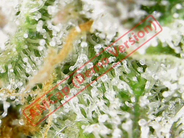 att Wf2qke In6Fachgi PFsp K1ou P8SDk XU85le RKiq0dah8