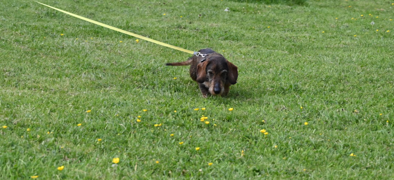 [Image: IMG-20250501-WA0018-LI.jpg]