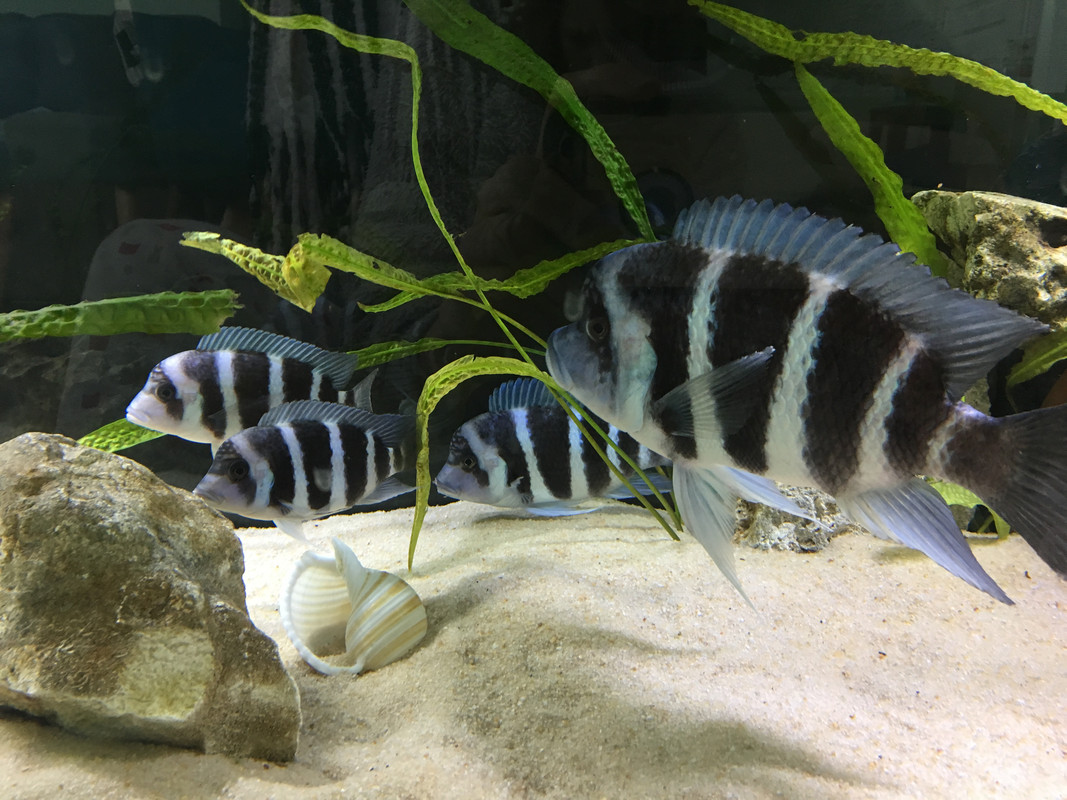 50DE4DAC-9228-4057-86B4-92BD4E021E4B