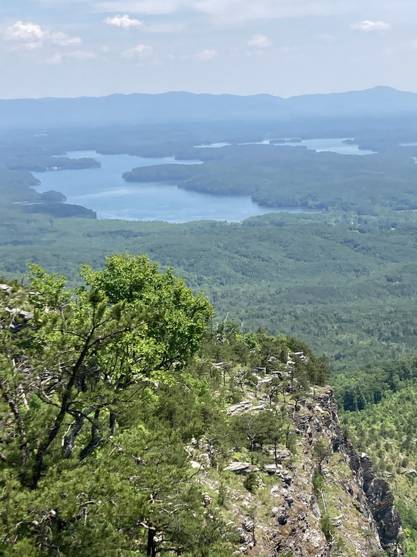 42012D6F-8B95-4BC2-B444-72E55925EBC4