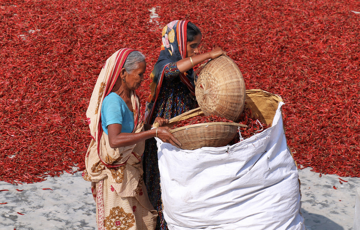 redindianchilies.jpg