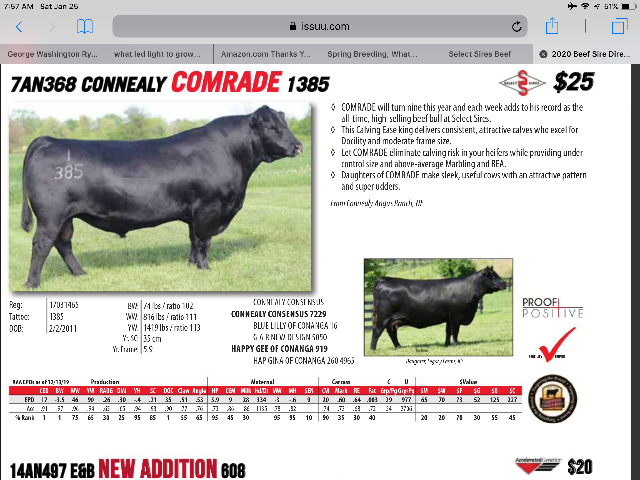 FE8516A7-453E-42FD-AE90-07546B4C639B