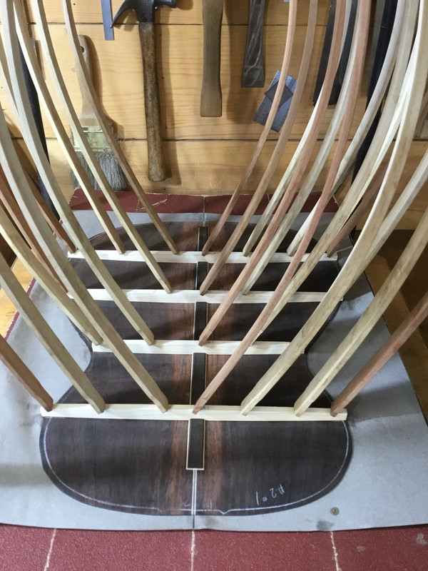 70B84546-5B46-4919-BBF2-54C481844401