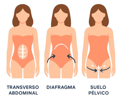 Como funciona o método de ativação de músculos