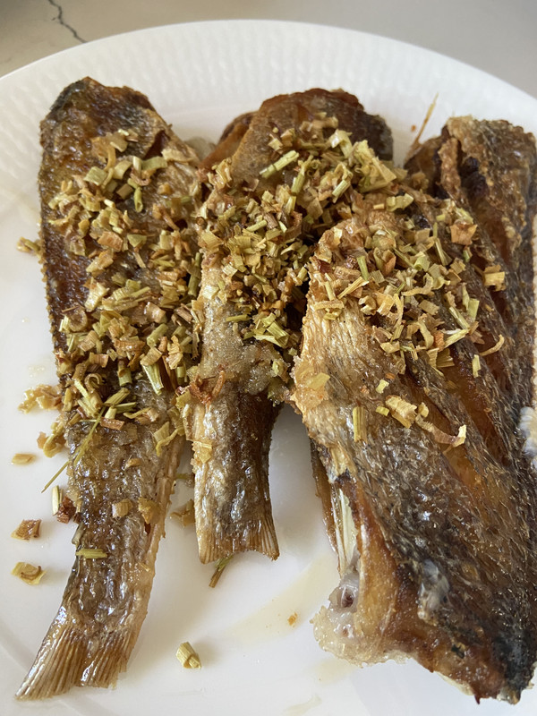 BC1DB1FF-2EC9-4A40-BF9F-96FD9A4EBDB5