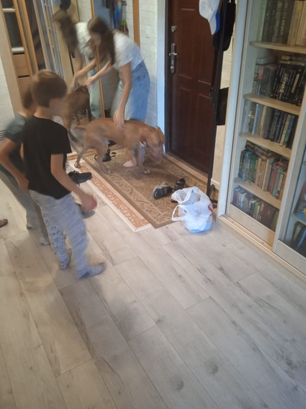 1339C9DD-F9D7-43A6-B114-8A7DB32D6849