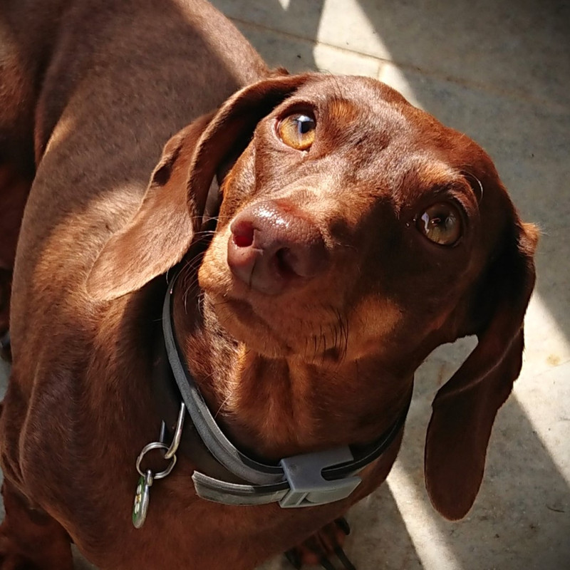 [Image: Thaloula-1.jpg]