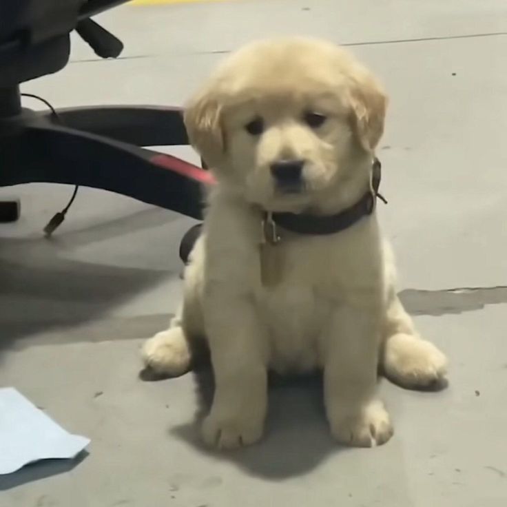 577f175b05f0522d9d50b0babf253fca