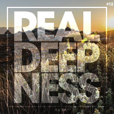 VA - Real Deepness #12 (2019) VA - Real Deepness #12 (2019)