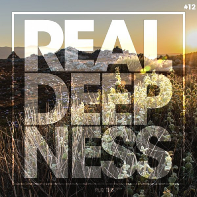 VA - Real Deepness #12 (2019)