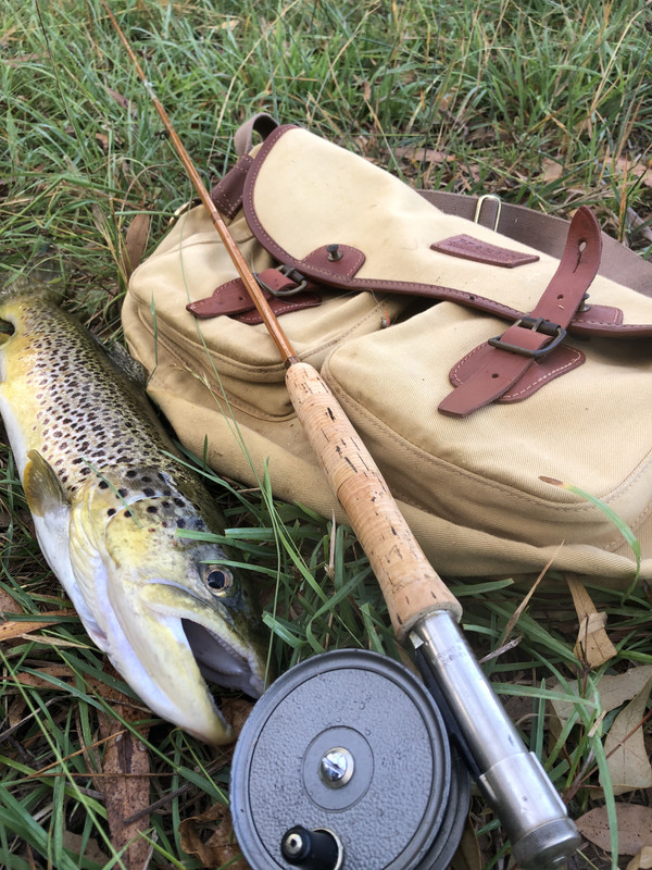 39B02DDB-D001-4217-8103-3F78E02E156B