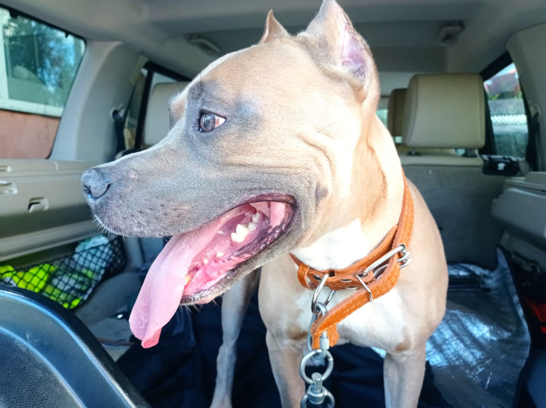 A5A83963-1B77-4096-9F6B-32D289FF02CD