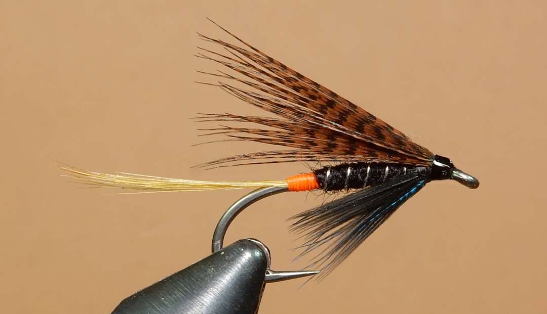 Connemara-Black-Conba-1080.jpg