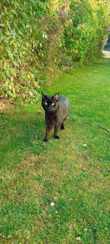 IMG_20250910_174327~2