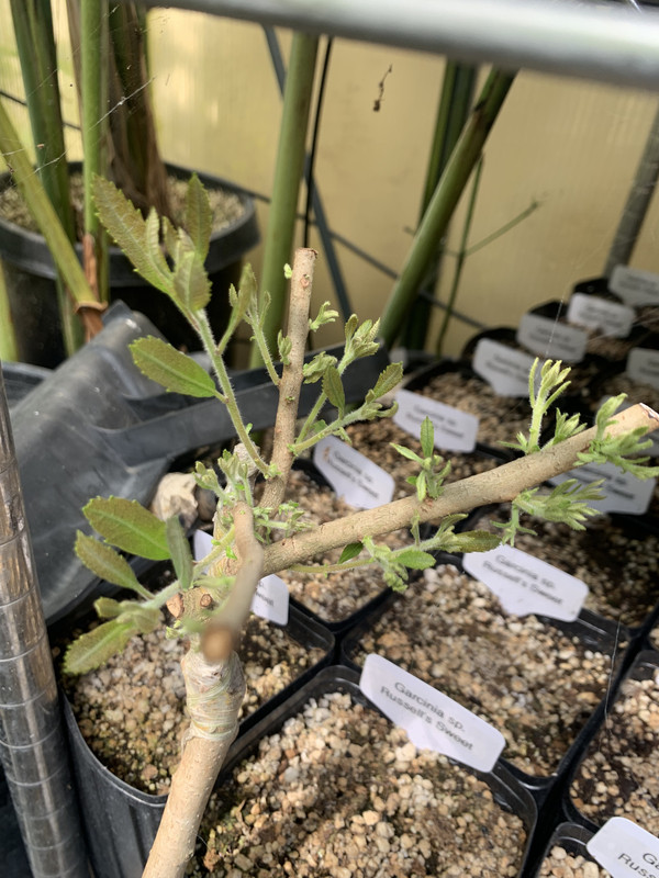 0A9202AB-EF1D-42A2-B49D-F1F1A88DA0AF