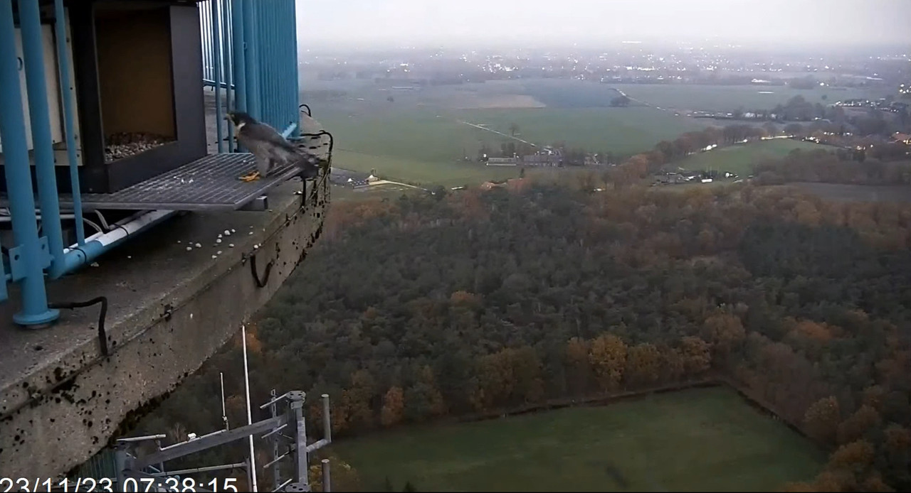 screenshots va 2 november 2023 © VWGGemert - Pagina 5 2023-11-23-074940