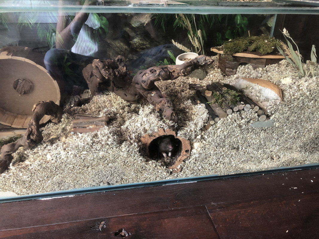 A91F941B-A6F5-41DD-946C-AE7847D59678