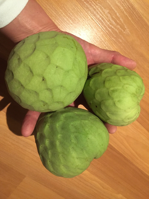 76AF9201-7339-420A-B009-3EBAE973C18F