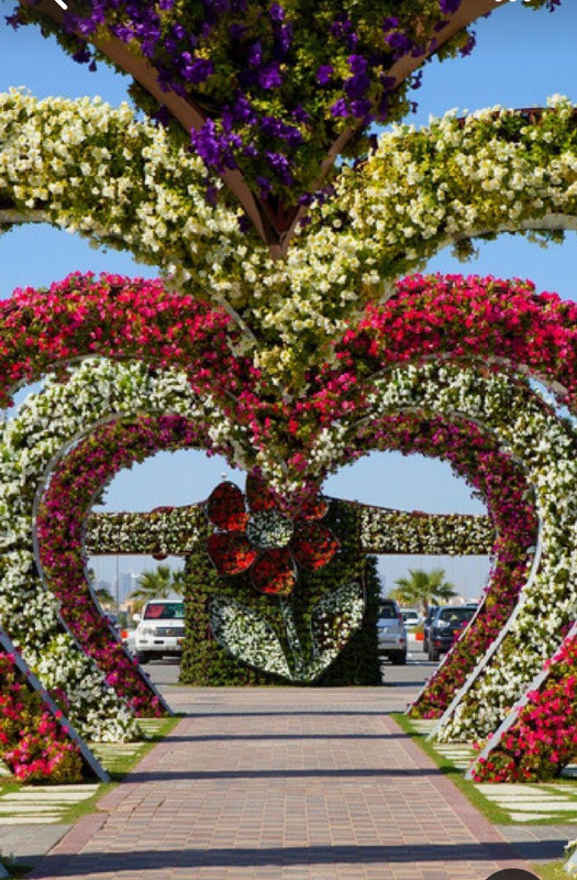 Screenshot_20230409_195751_Pinterest