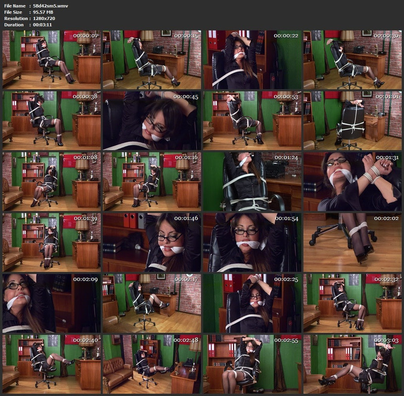 5Bd42sm5.wmv