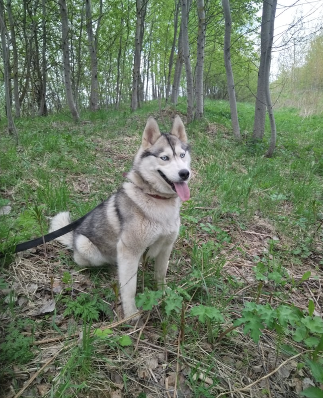 Снимок экрана 2024-05-02 в 17.52.55