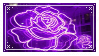 https://i.postimg.cc/FHdJcrxC/Neon-Purple-Rose.png