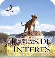 Conectarse Temasd10