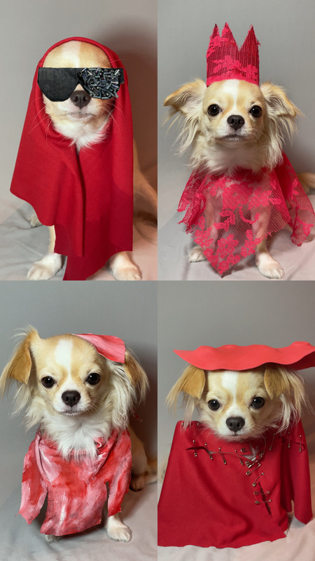 A5F9A362-4BA7-4E47-AD9E-ED9567D7DF47