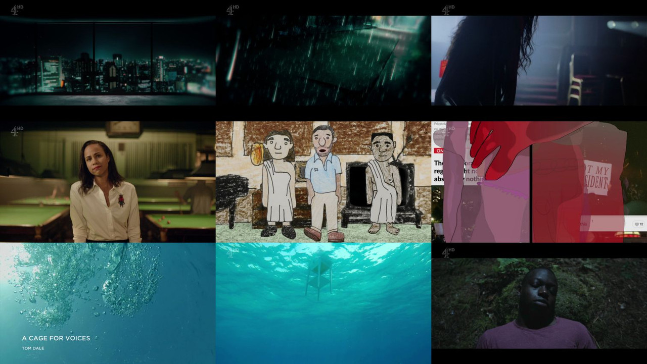 52425686029823397844